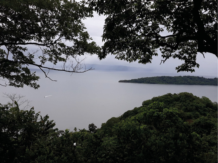 D:\CONIDEAS\Gira Isla Venado 19-21 agosto\20200820_162031.jpg