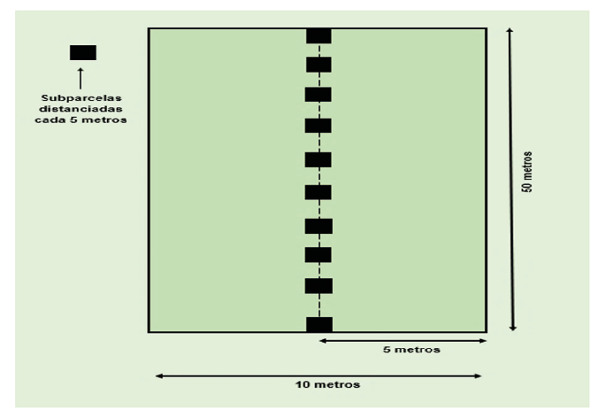 Interfaz de usuario gráfica

Descripción generada automáticamente con confianza media