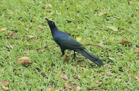 20221007212238_IMG_7737