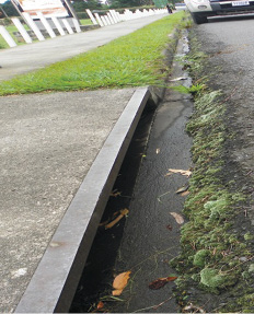 C:\Users\USUARIO1\Pictures\LA SABANA\101_0373.JPG