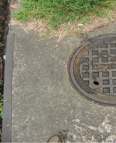 C:\Users\USUARIO1\Pictures\LA SABANA\101_0374.JPG