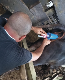 Interfaz de usuario gráfica, Texto, Aplicación

Descripción generada automáticamente