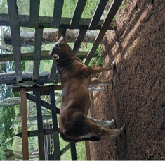 C:\Users\Oscar Mario\Downloads\20210718_132321.jpg