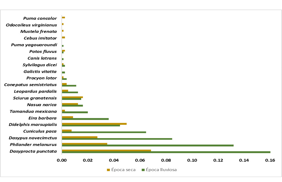 Gráfico, Gráfico de barras

Descripción generada automáticamente