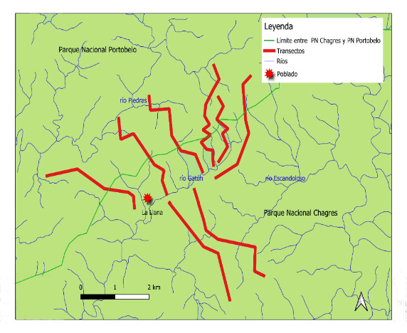 Mapa

El contenido generado por IA puede ser incorrecto.