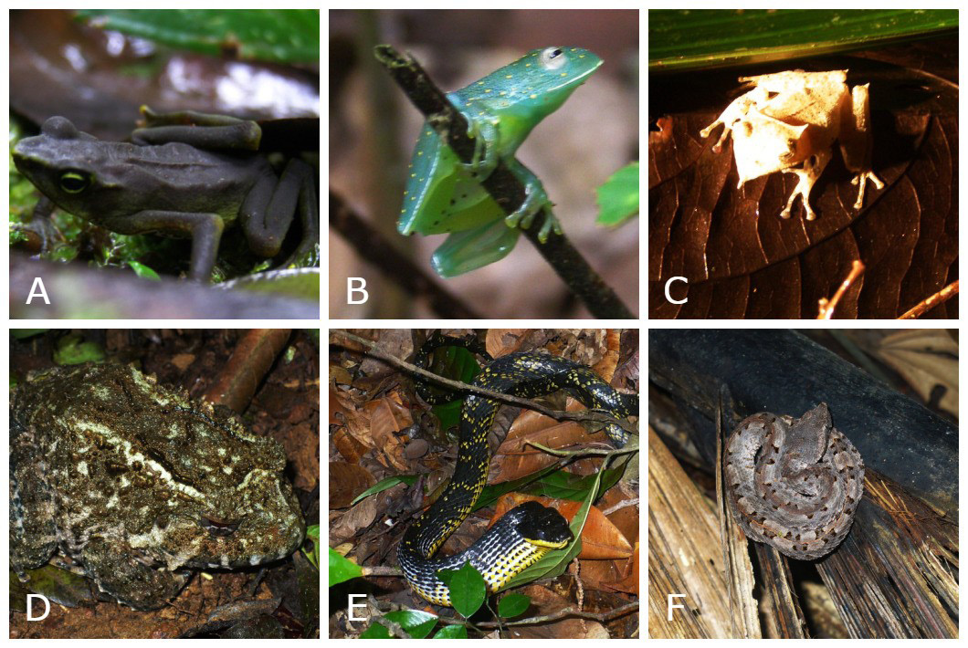 C:\Users\DELL\Desktop\1724872443198537 con letras.jpg