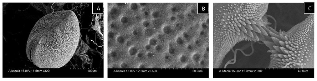 F002%20Horizontal.psd