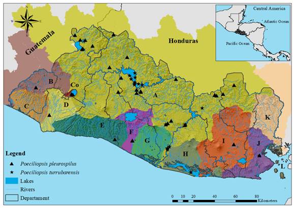 A close up of a map

Description automatically generated