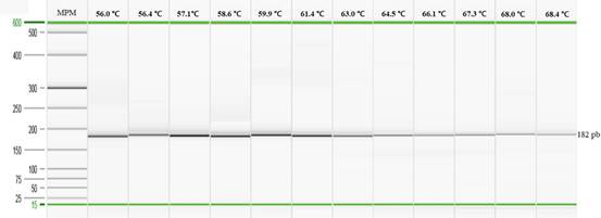 Table, calendar

Description automatically generated
