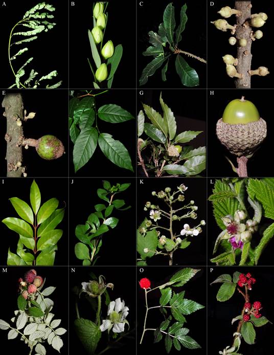 Un florero con flores

Descripción generada automáticamente