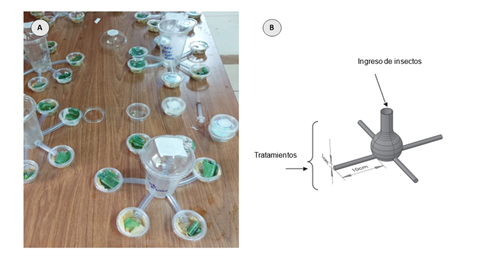 Diagrama

El contenido generado por IA puede ser incorrecto.