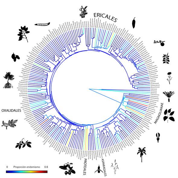 Diagrama, Esquemático

El contenido generado por IA puede ser incorrecto.