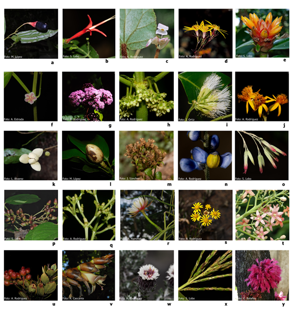 Una captura de pantalla de un celular con texto e imágenes

El contenido generado por IA puede ser incorrecto.