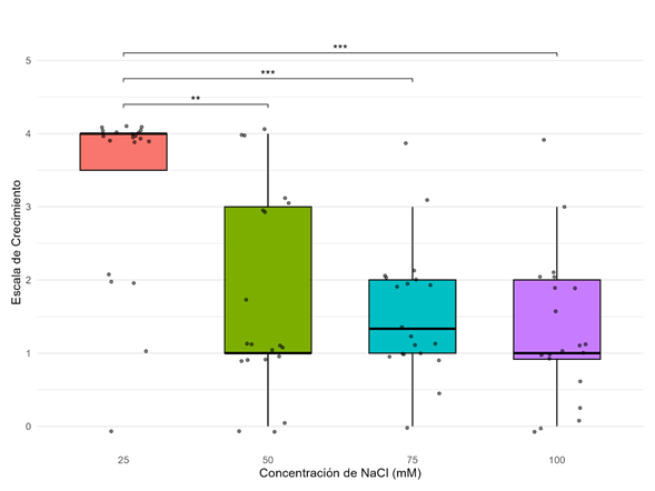 Gráfico

El contenido generado por IA puede ser incorrecto.