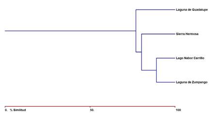 Gráfico, Gráfico de cajas y bigotes
Descripción generada automáticamente