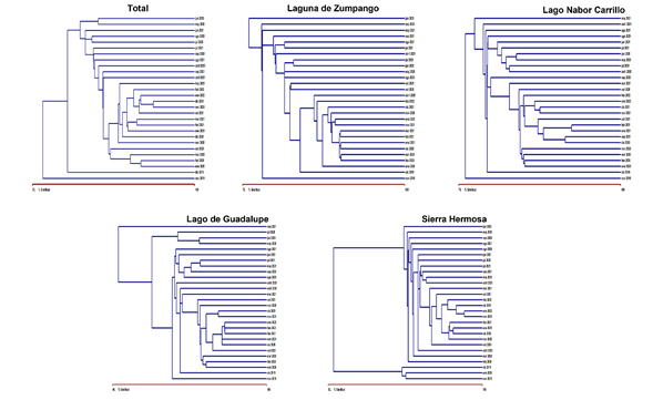Interfaz de usuario gráfica
Descripción generada automáticamente