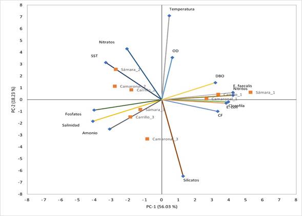 Gráfico, Gráfico radial
Descripción generada automáticamente