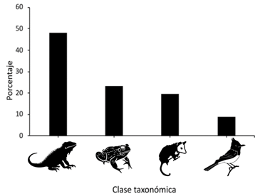 Gráfico
Descripción generada automáticamente