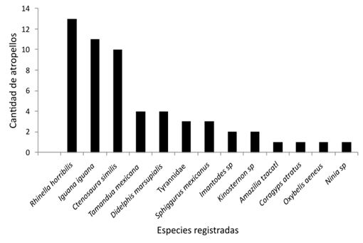 Imagen que contiene Histograma
Descripción generada automáticamente
