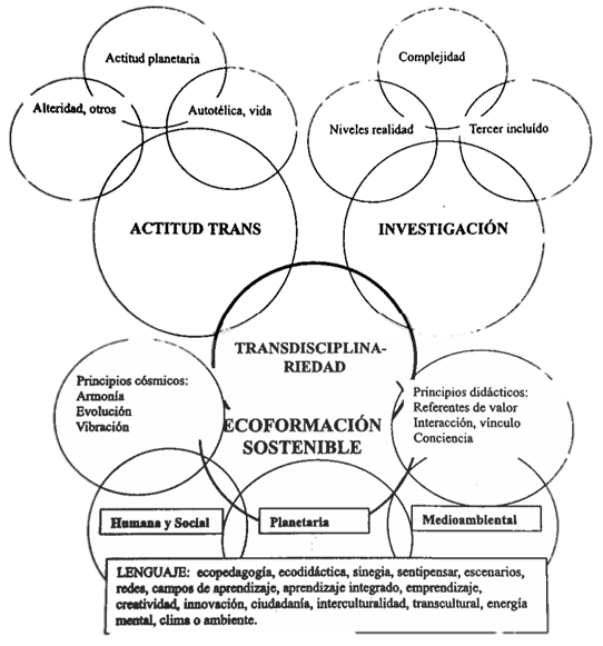 Imagen que contiene texto
Descripción generada automáticamente