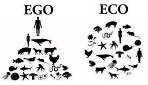Imagen que contiene Diagrama
Descripción generada automáticamente