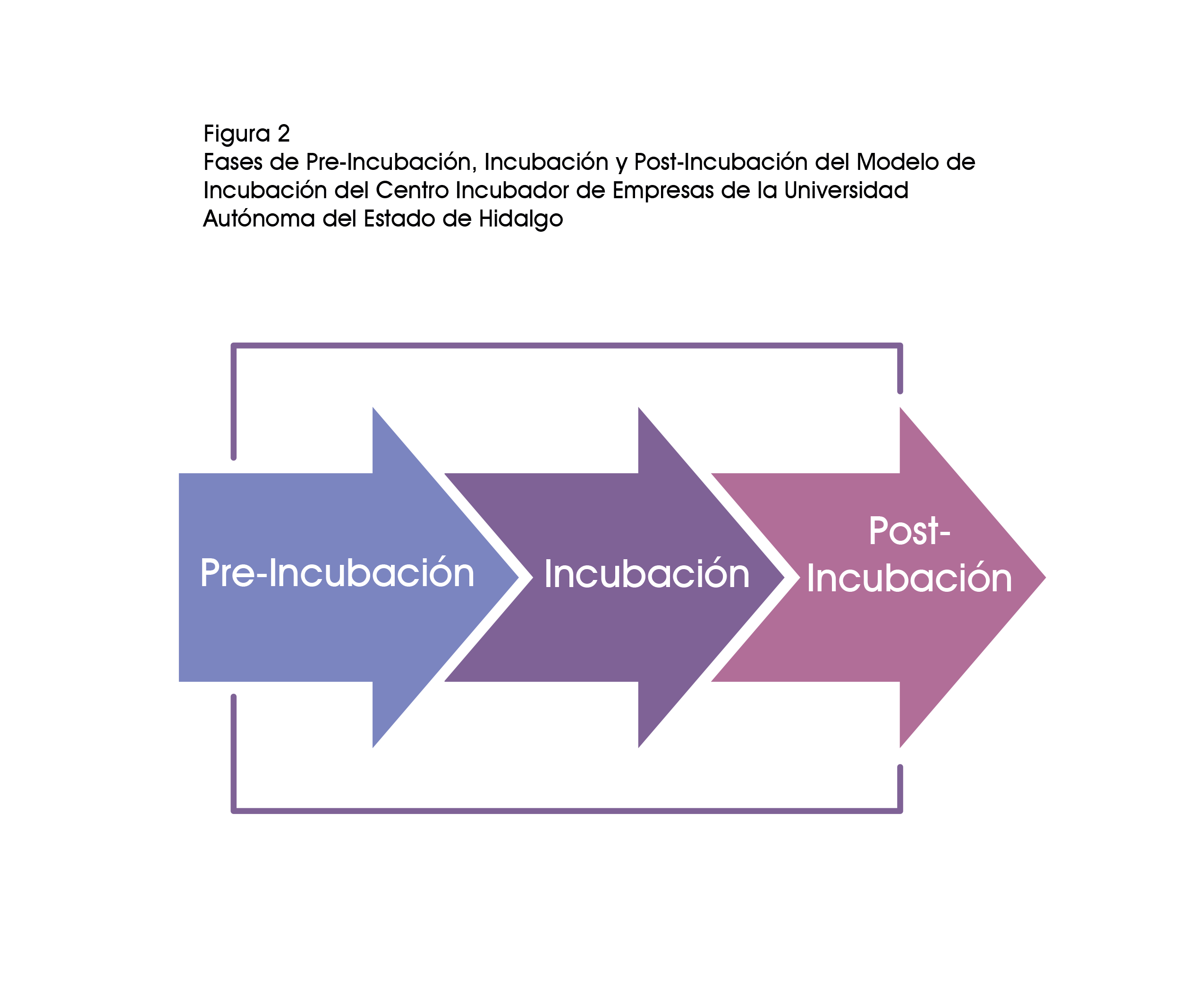 ases de Pre-Incubación, Incubación y Post-Incubación