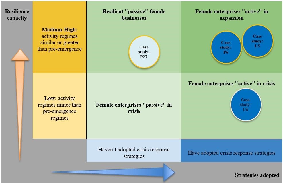 Migrant women entrepreneurs groups and cases, based on strategies adoption and resilience capacity in response to COVID-19 pandemic.