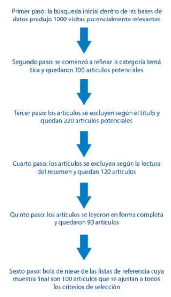 Proceso de selección de la literatura
